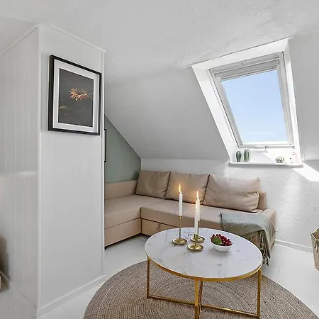 Small, Cozy Penthouse With Free Parking Apartamento Ålborg